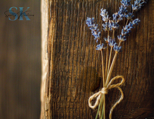 Cedar Musk + Lavendar Hanging Car Diffuser